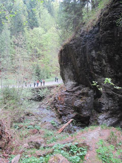 20130504 Szerenád-Lóhavas 539